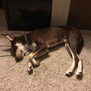 Meet your Posher, Russell